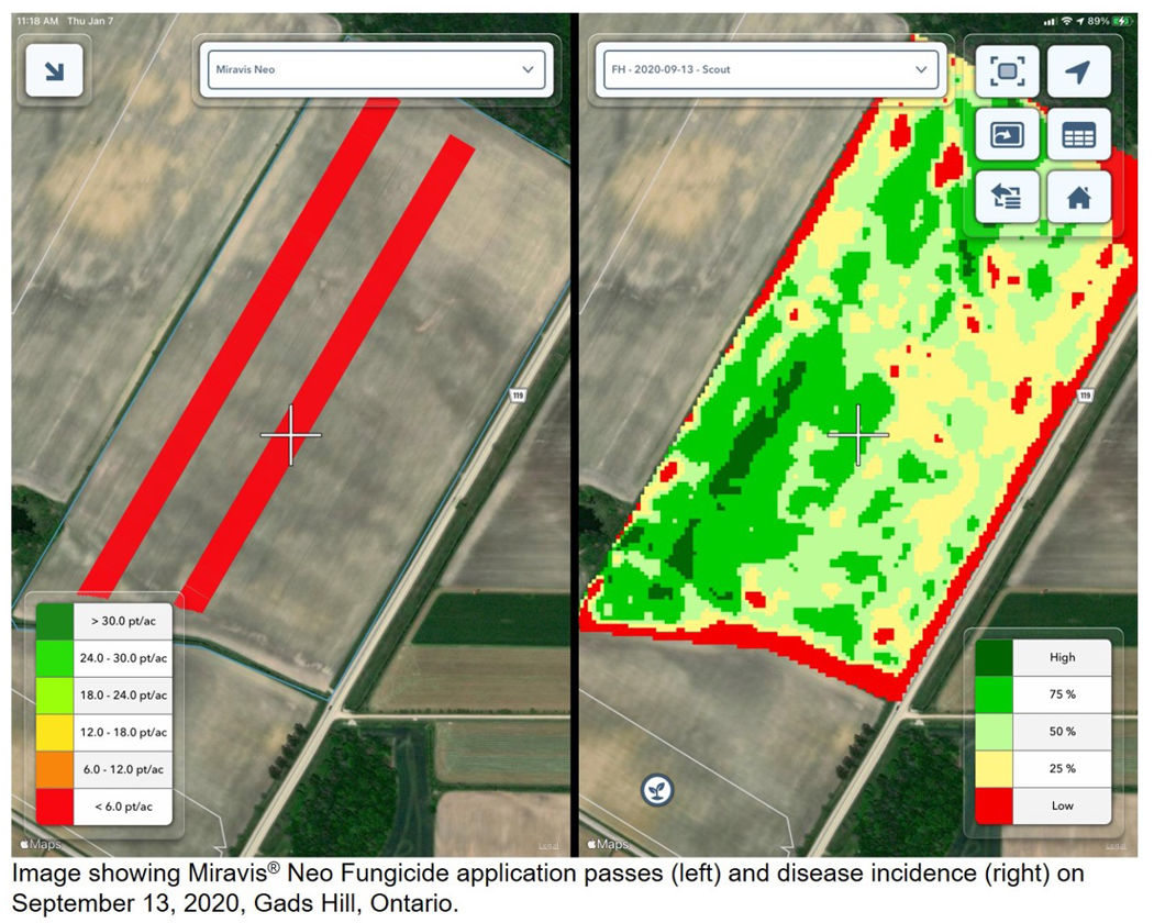 Climate FieldView™ Platform image of Miravis® Neo fungicide application passes and disease incidence on September 13, 2020 at Gads Hill, Ontario